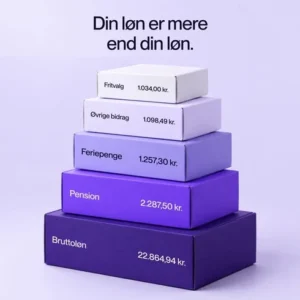 Løngennemsigtighed i praksis